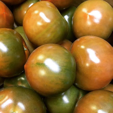 Surviving January, Wet Weather And More!