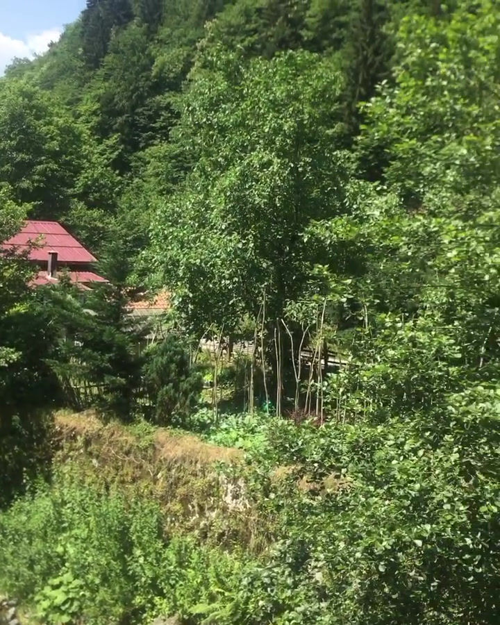 Küçük resim: Elevit Yayla Turu