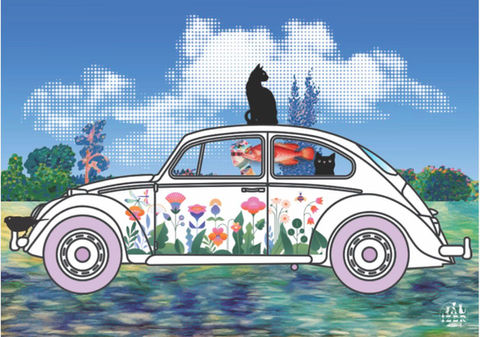 ORDU VOSVOS ŞENLİĞİ - ORDU VOLKSWAGEN BEETLE FESTIVAL