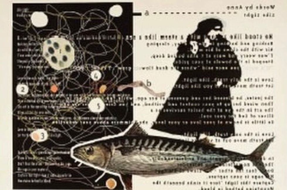 WhatsApp Image 2025-12-20 at 19.33.44 (6)