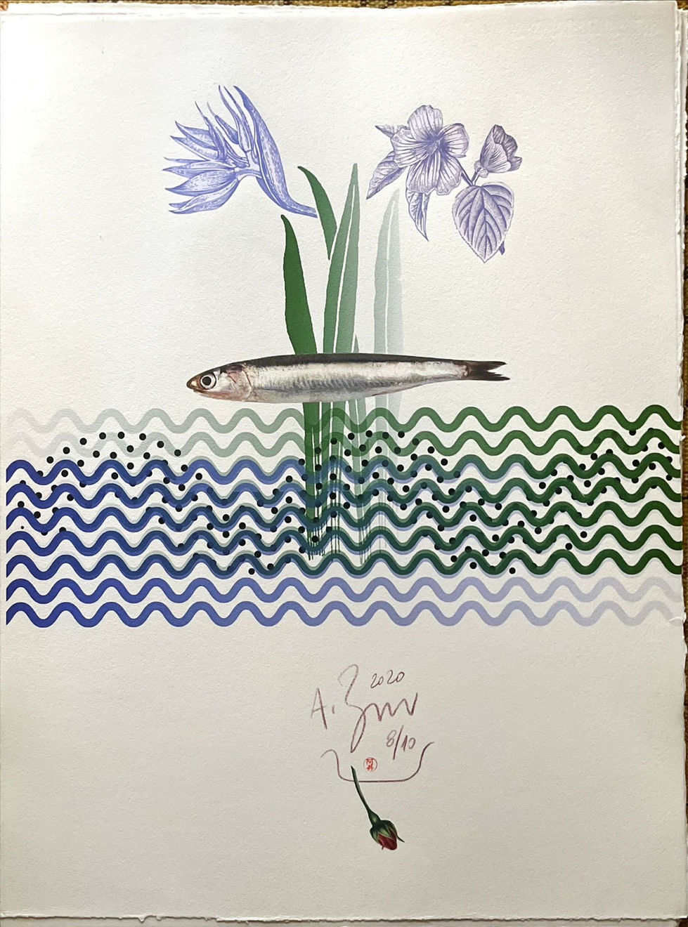 WhatsApp Image 2025-12-19 at 11.36.21 (3)