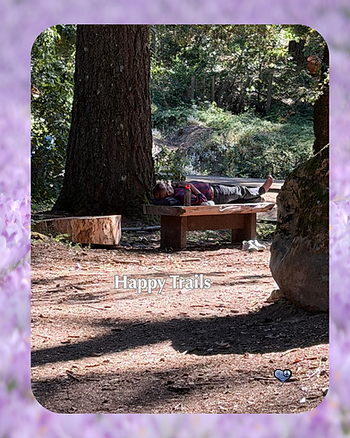 Toby and Piper gave me thousands of happy trails. Now their bench offers rest to people they will never meet. Some gifts keep giving. Visit www.ThankU.io for the full story. #ThankU.io #Grateful #SantaCruzMountains