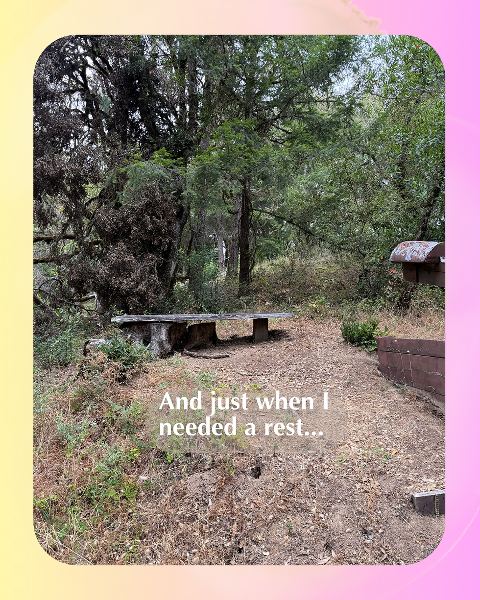 The Trail Knew