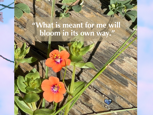 Grateful to Trust What Wants to Bloom