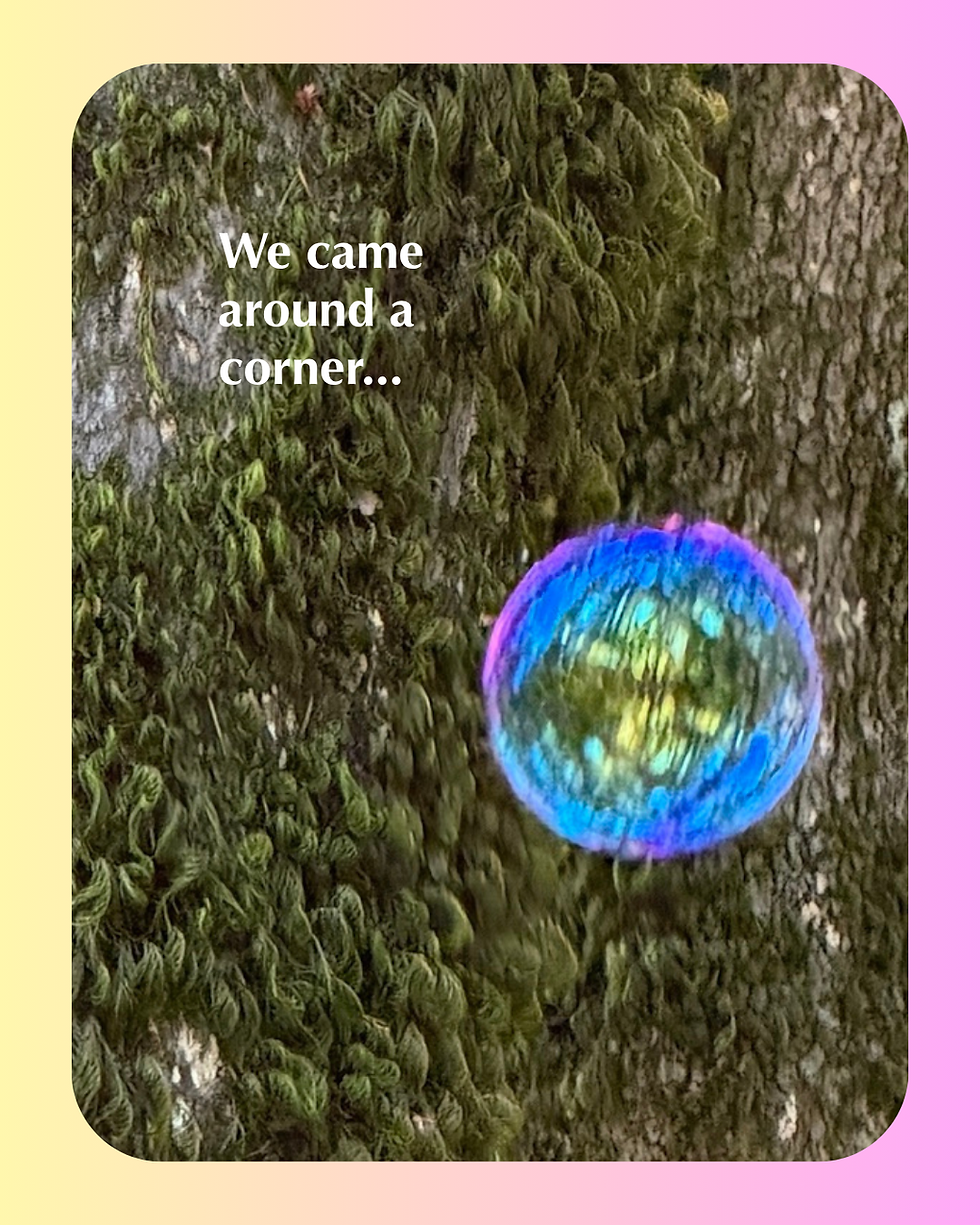 Magic on the Mountain