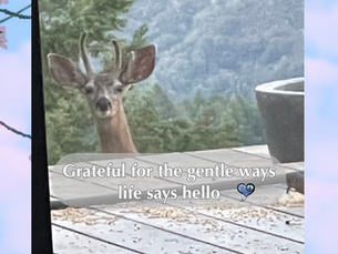 Grateful for Gentle Encounters with Nature