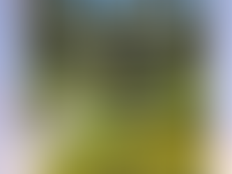 Grateful for the Path Ahead