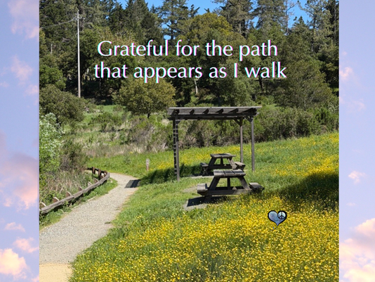Grateful for the Path Ahead