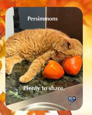 The Persimmons Keep Coming, and the Bread Keeps Going