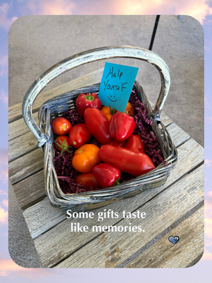 The Tomatoes That Took Me Home