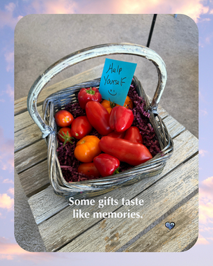 The Tomatoes That Took Me Home