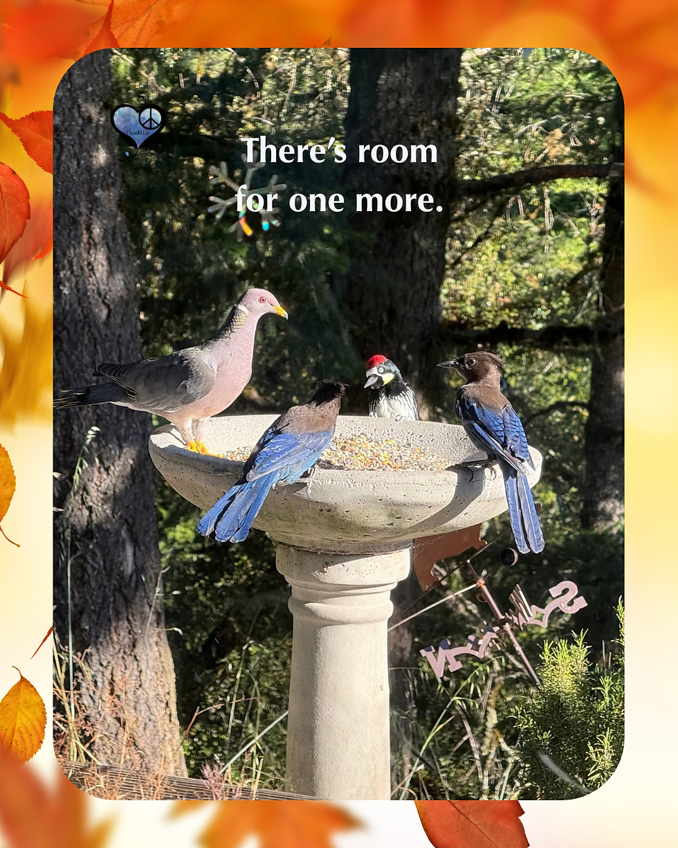 Two jays, an acorn woodpecker, and a gentleman in his gray suit have gathered at the feeder. I call it my United Nations of birds. While people gather inside our house, the feathered visitors have their own gathering outside. Watching them is one of my everyday pleasures.