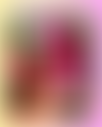 Welcome to Bloomscrolling