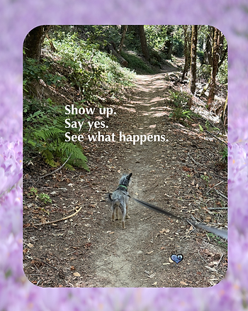 The whole trail doesn't have to be visible. Just the next step. Show up. Say yes. See what happens. Visit www.ThankU.io for the full story. #ThankU.io #Grateful #SantaCruzMountains