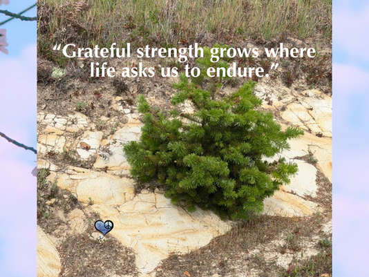 Grateful for Strength That Grows Through Challenge