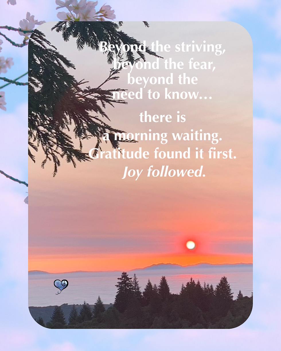 This season has taught me that gratitude is not always loud. Sometimes it returns quietly after disappointment. After exhaustion. After the heart has spent too long trying to hold everything together. And from that peace, something else slowly begins to grow. Visit "www.ThankU.io" for the full story.