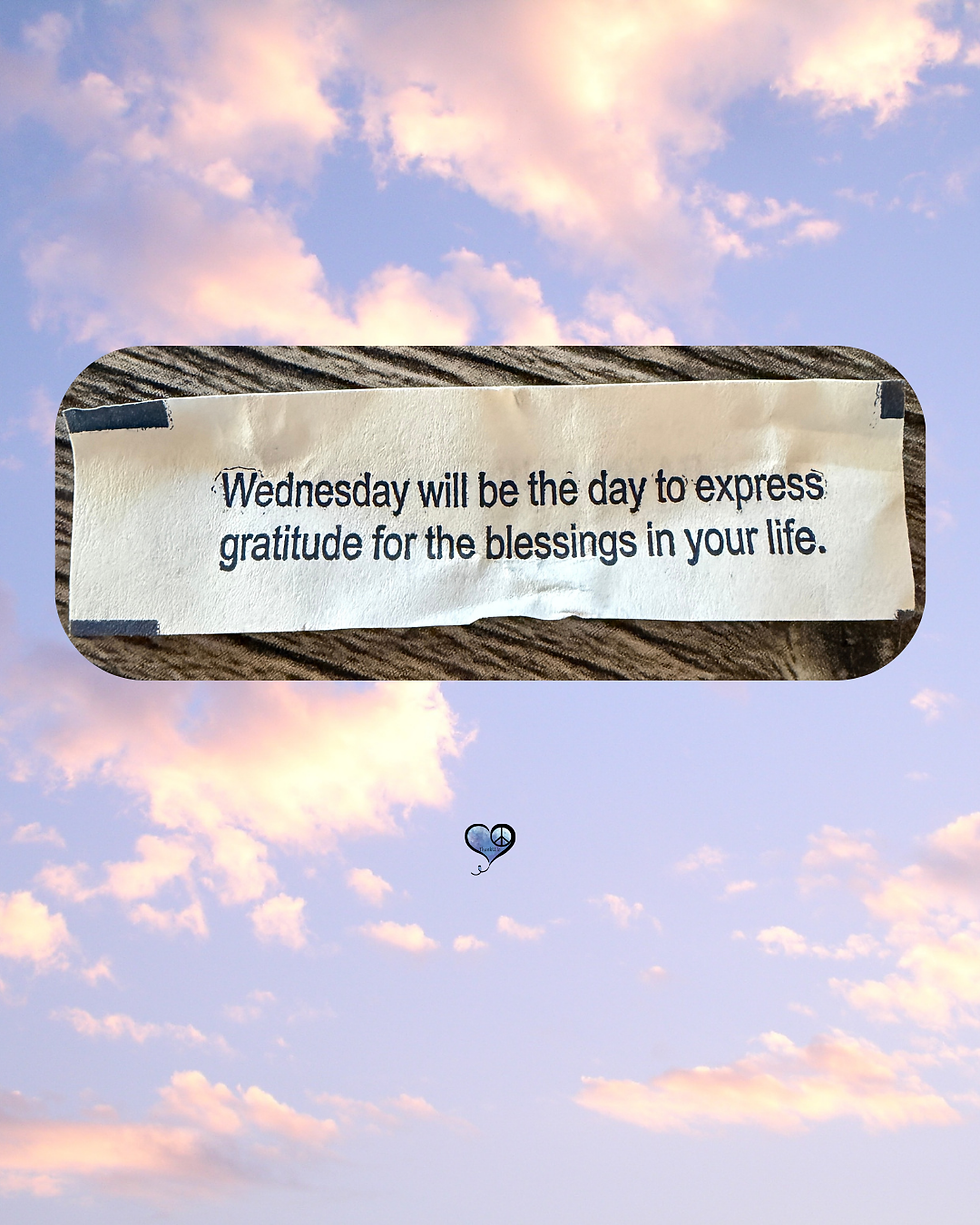 Apparently the universe has put me on a schedule. Wednesday: gratitude. Got it. 😂