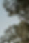 DSC05915.jpg