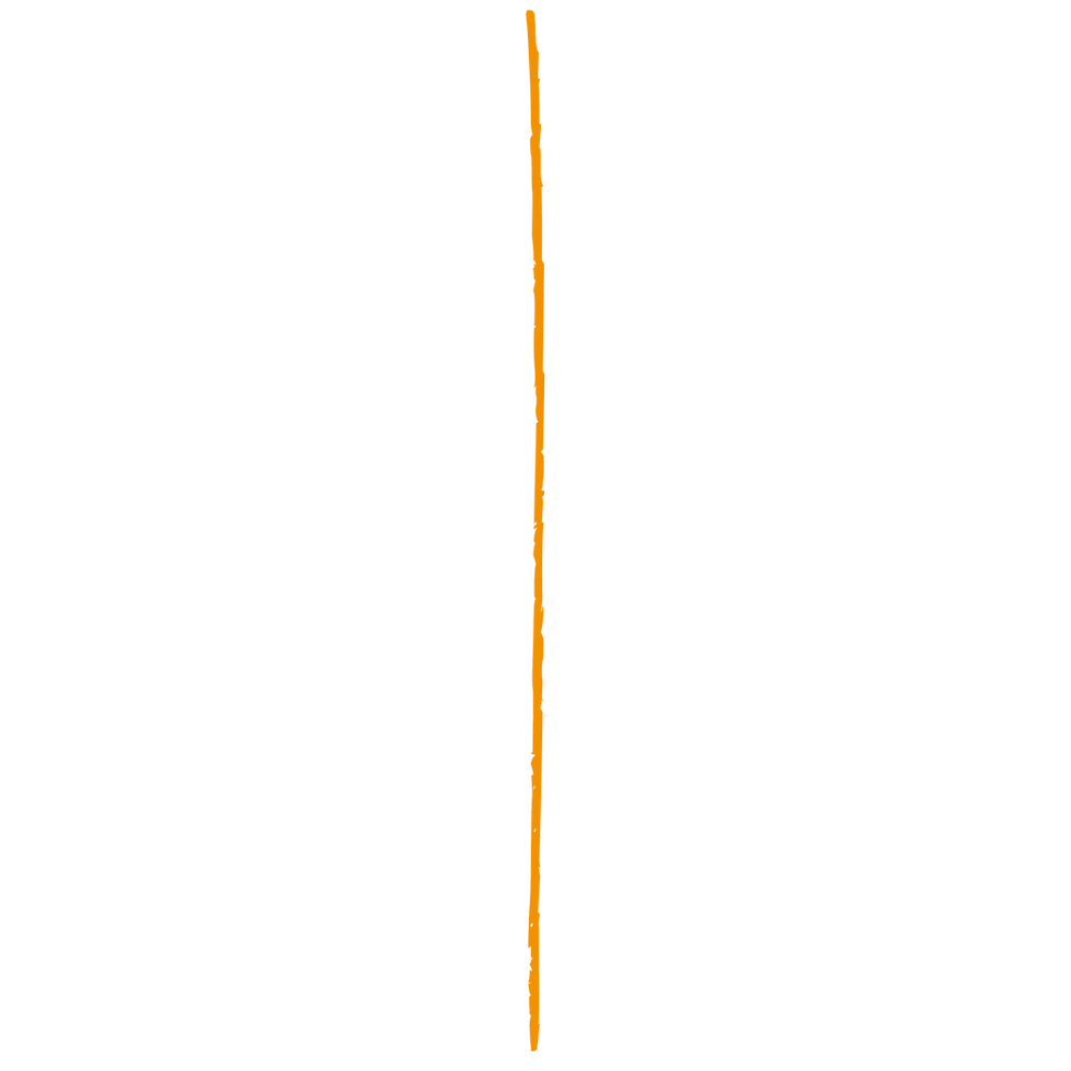 Untitled design (52)_edited.png