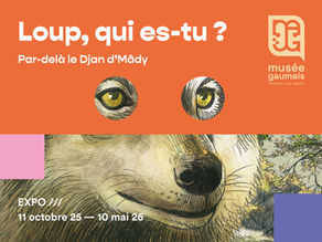 Programme d'activités sur les traces du loup