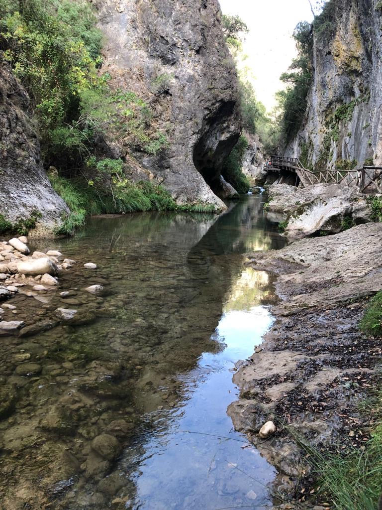Explorando la Naturaleza: Ruta Escénica junto al Río Borosa"