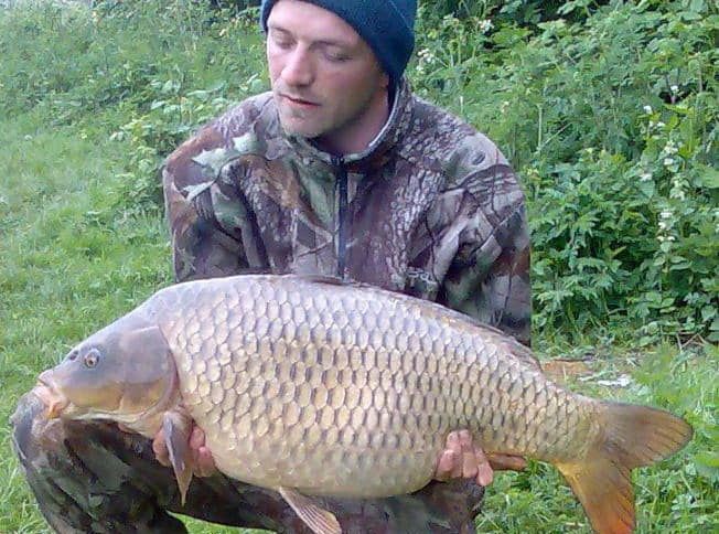 Mirror Carp Nov 2022.jpeg