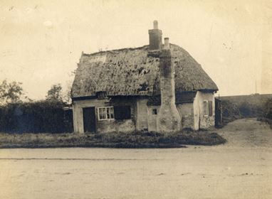 Wilkinsons House - Vernon Avenue 1900.jpeg