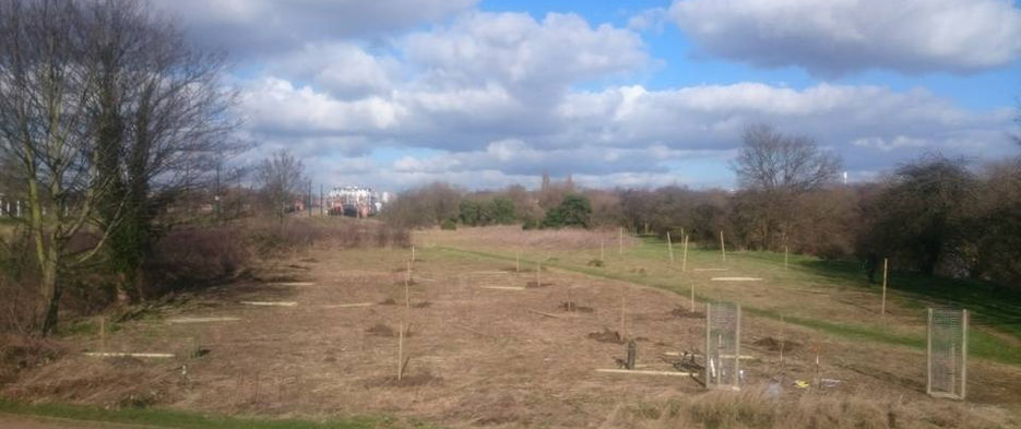 Orchard Planting 4 2017.jpeg