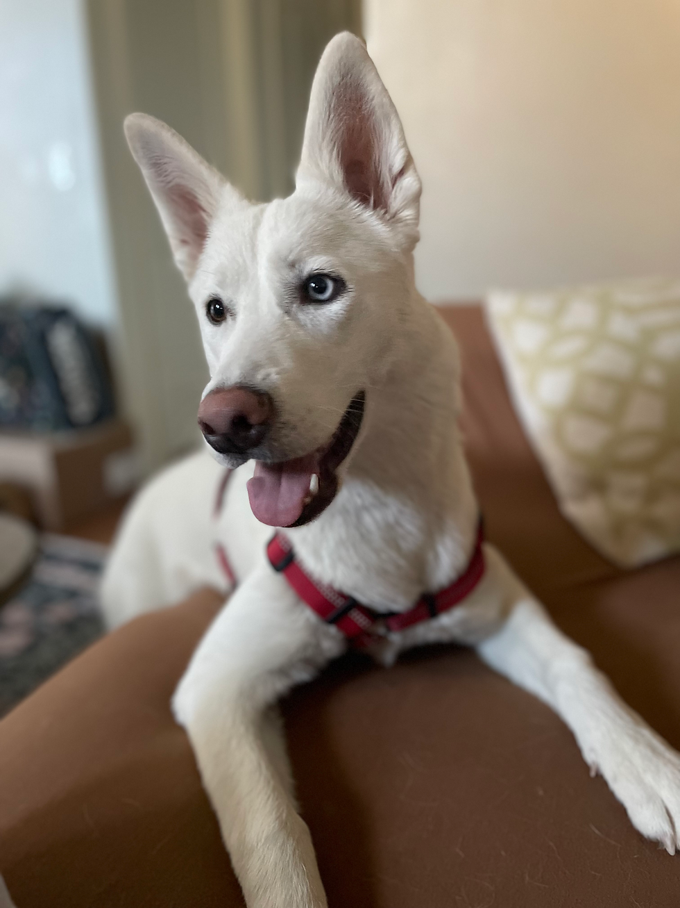 Nia's first babysitter was my friend, Whitney, who designed my logo and has helped support me so much through this endeavor.