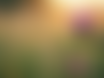 Unlocking Liver Health: The Power of Milk Thistle, Dandelion Root, and MSM for Detox and Repair