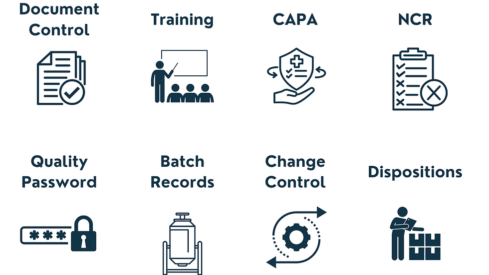 Untitled design (5).png