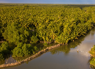 Green Organic Shop Horizontal Poster (14).png