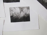 IMG_5772.JPG