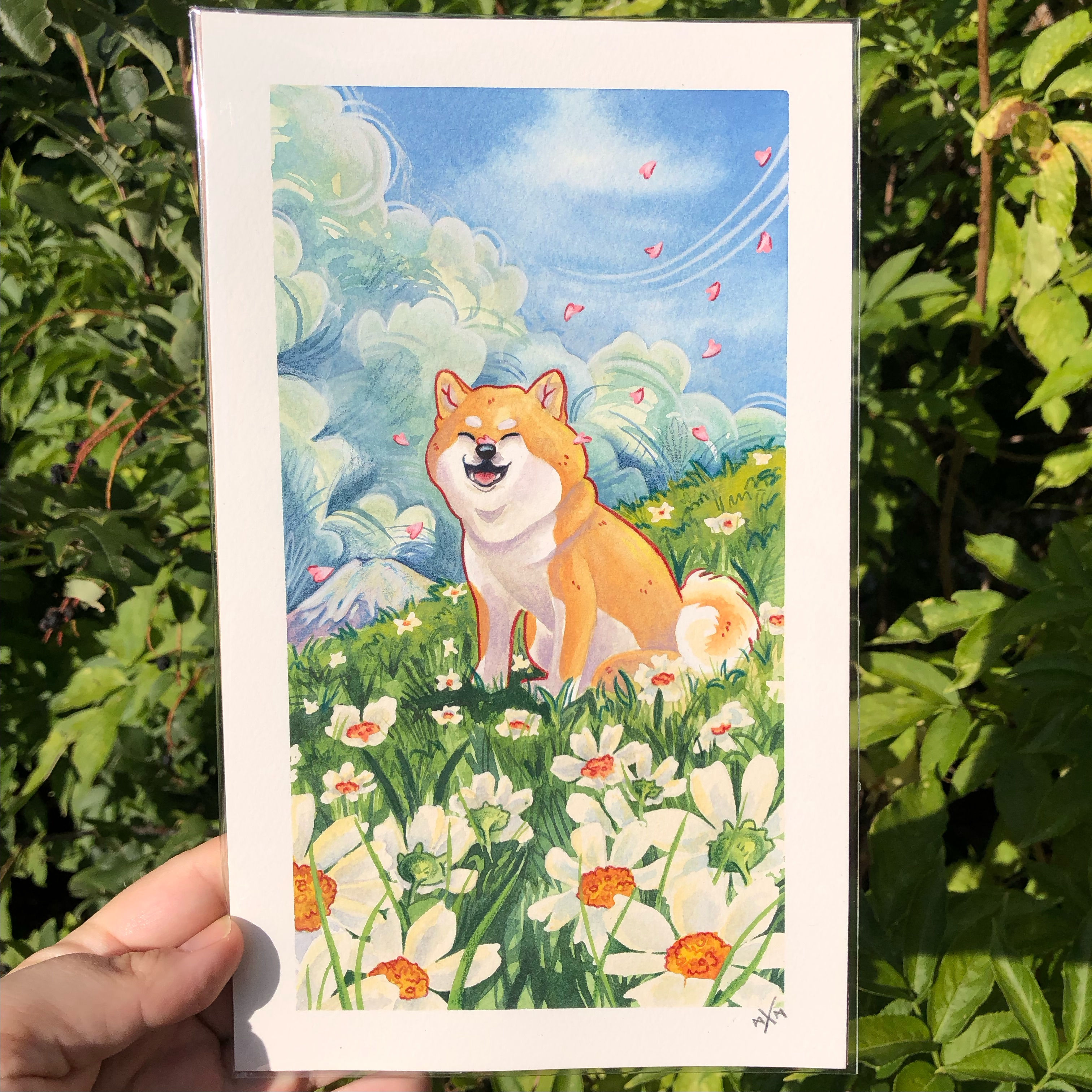 Peaceful Shiba Inu Original