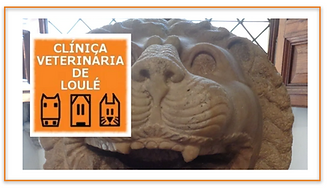 SL.Spon.VetLoule.16Dec23.png