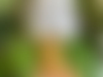 Italian Gelato Competition