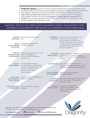 Dragonfly Agency brochure_Page_2.jpg