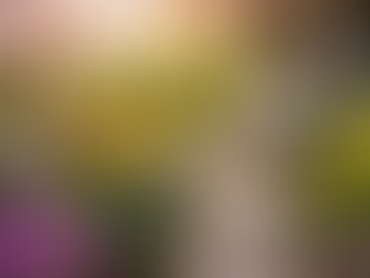 New Day - New Hope - New Beginning