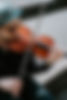 DSC05175.jpg