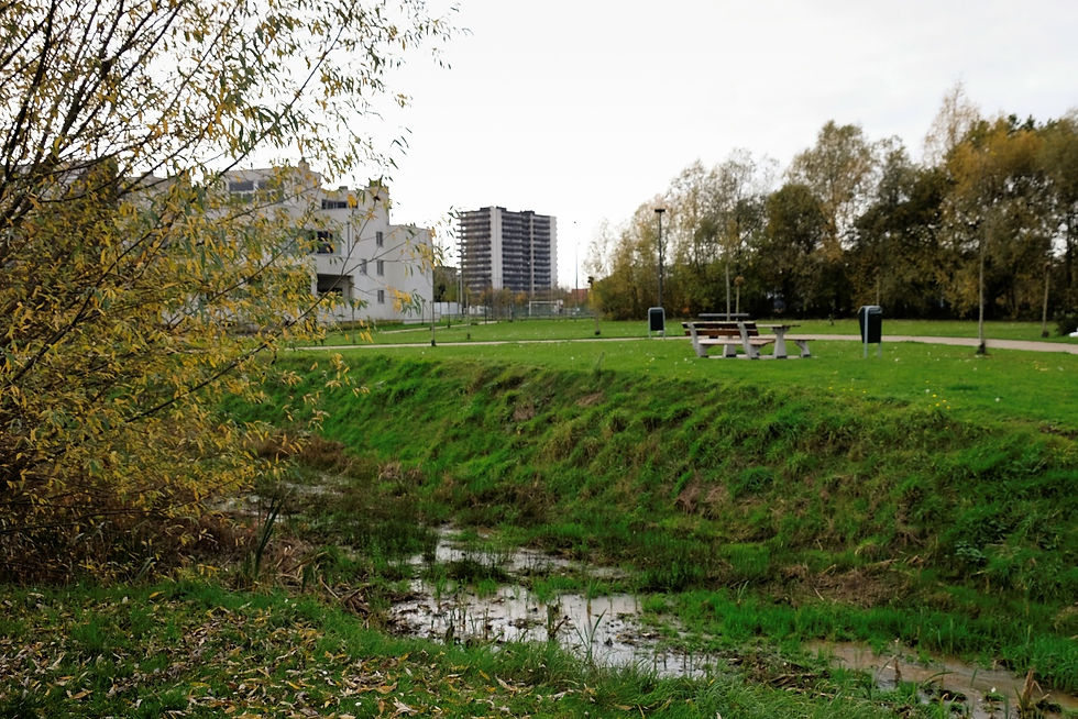 Ontdek de Heilig Hart wijk