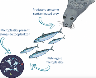 Screenshot 2025-08-25 at 4.35.26 PM.png