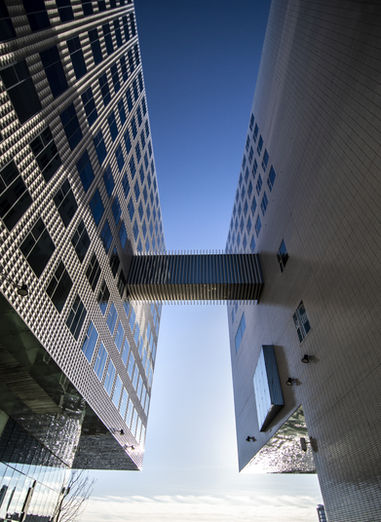 DSC_0513.jpg