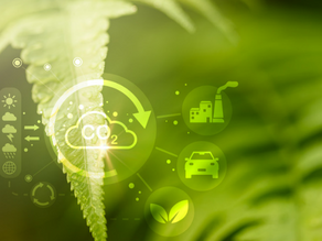 Sera Gazı Emisyonları ve Sınırda Karbon Düzenleme Mekanizmasıyla İklim Değişikliğine Çözüm Arayışı