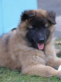 DSC07010.JPG