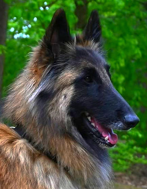 696984752_4435195420088748_2170158174901205817_n_edited_edited_edited.jpg