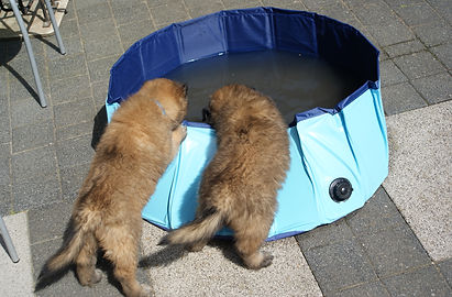 DSC06941 - kopie.JPG