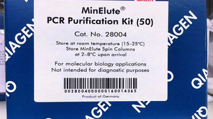 PCR Tests Secretly Recalled Due to Erroneously Testing for Bacteria in 2020