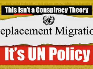 EXCLUSIVE: THE GREAT REPLACEMENT – IT’S NOT A CONSPIRACY THEORY, IT’S A UN POLICY!
