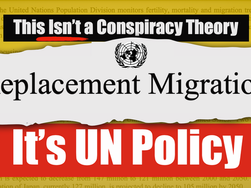 EXCLUSIVE: THE GREAT REPLACEMENT – IT’S NOT A CONSPIRACY THEORY, IT’S A UN POLICY!