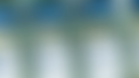 Covid: "You've Been Lied to" about Vaccines Says Pathologist